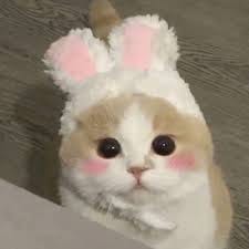 Angela Torres avatar